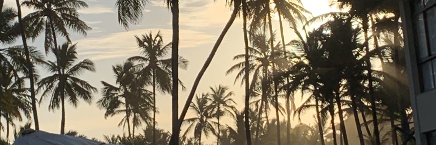 alepolack's profile banner image