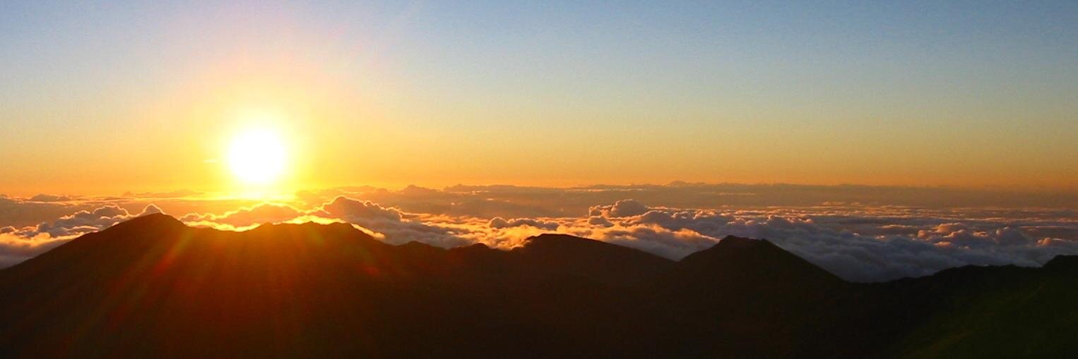 Navpreet Jatana banner