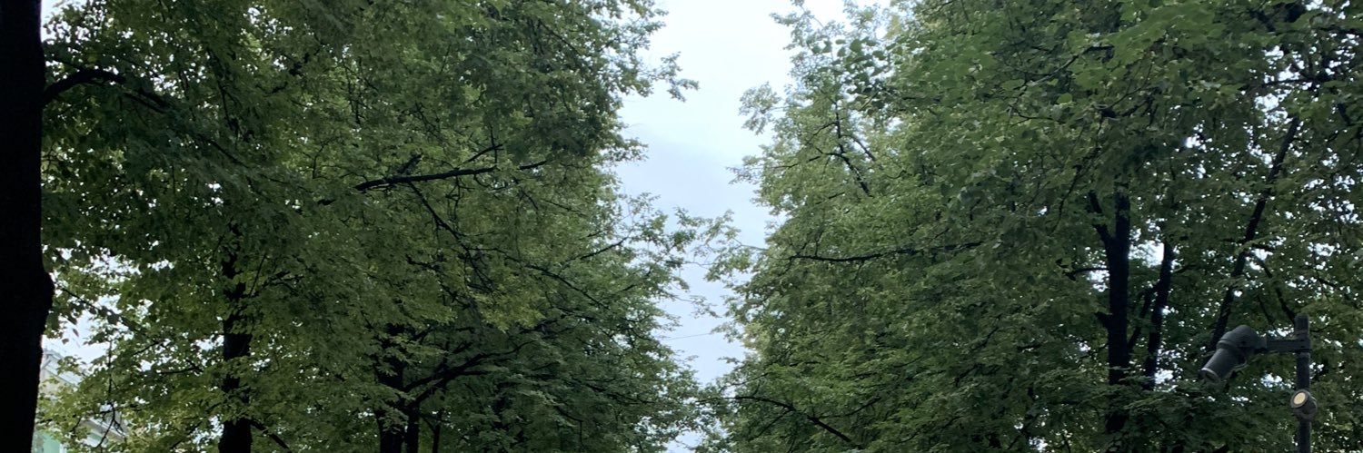 garfieldmemsol's profile banner image