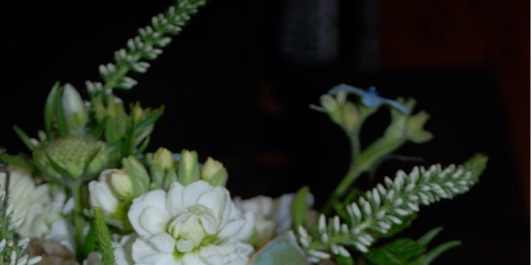 melschleiger's profile banner image
