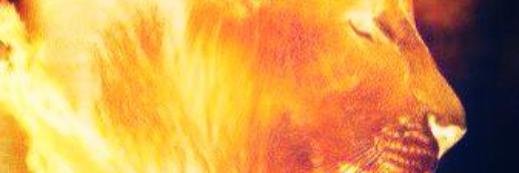 Gomsi19's profile banner image