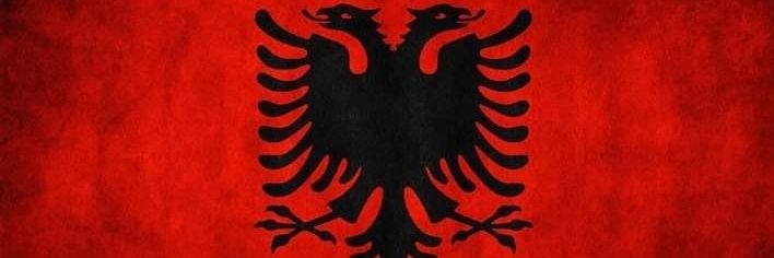 ALEmbassyMontenegro banner