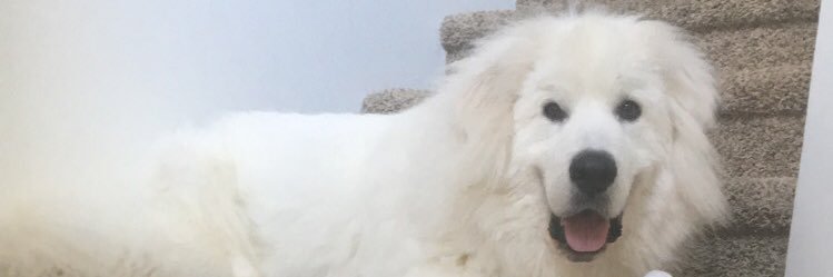 _CassidyWright's profile banner image