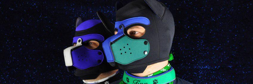 Pup_Zino's profile banner image