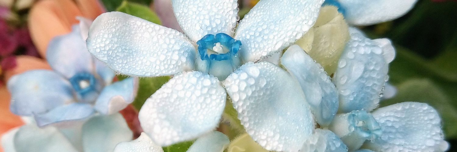 Monique Kikkert banner