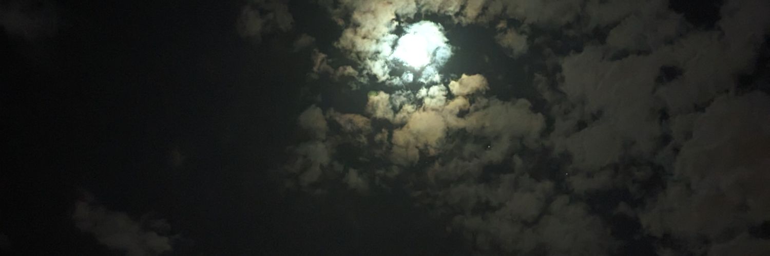 rjshehabi's profile banner image