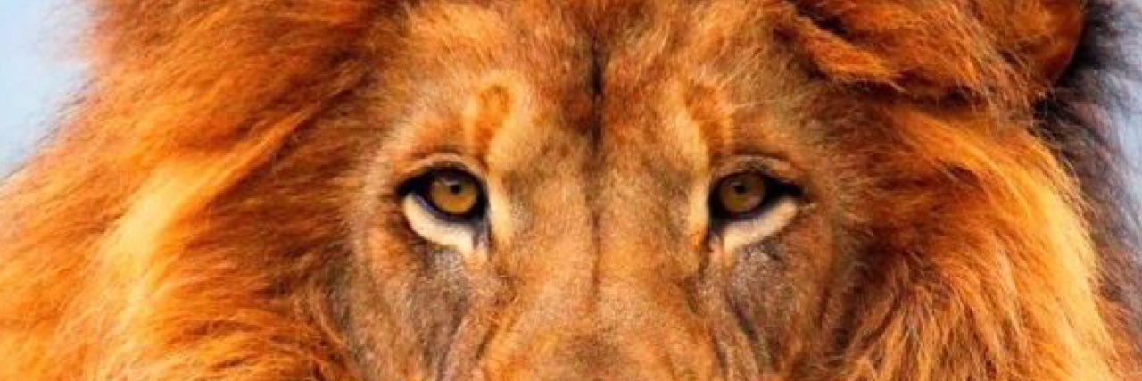 Pavurya72's profile banner image