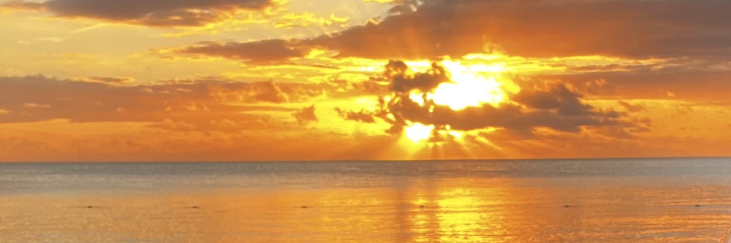 roychapaccc's profile banner image
