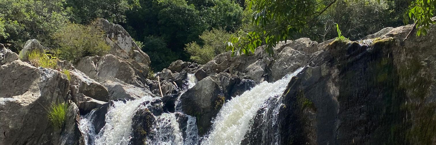 fonsecauil's profile banner image
