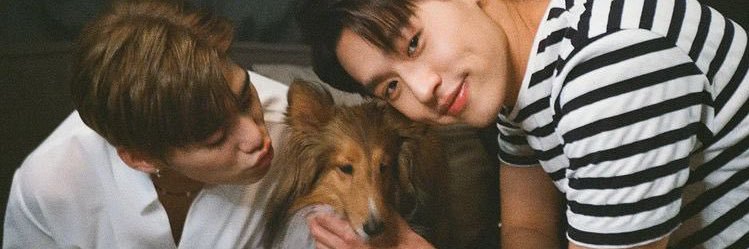 zxpscl's profile banner image