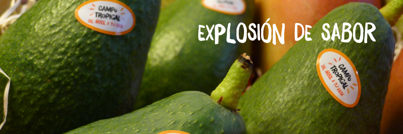CampoTropical's profile banner image