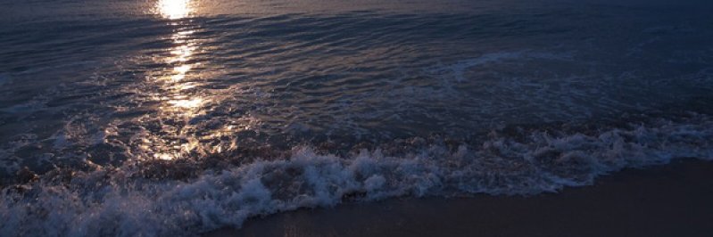NatureOfScorpio's profile banner image