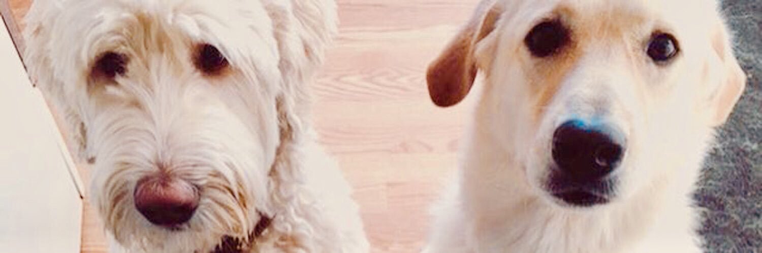 jstewart87's profile banner image