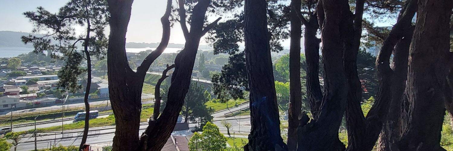 AleCom28's profile banner image