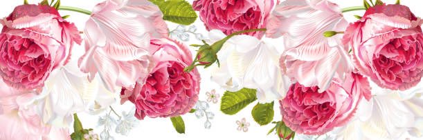 evacasellas's profile banner image