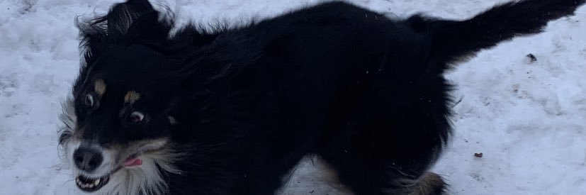 ColeAnderson25's profile banner image