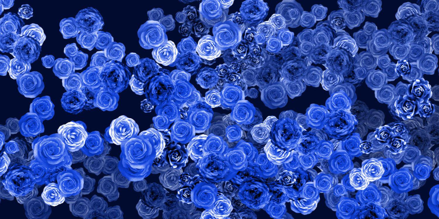 gmgmgyaaa's profile banner image