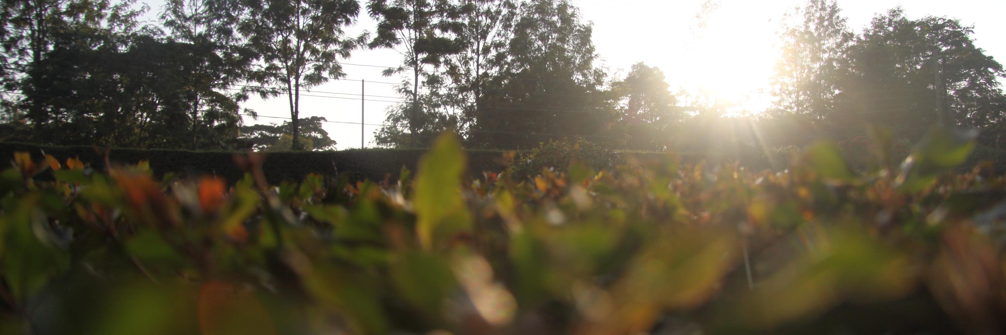 juuj06's profile banner image