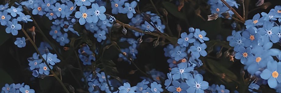 Latoofii19's profile banner image