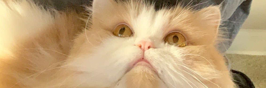 devantighe's profile banner image