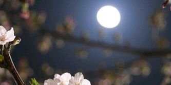 tm_a12's profile banner image
