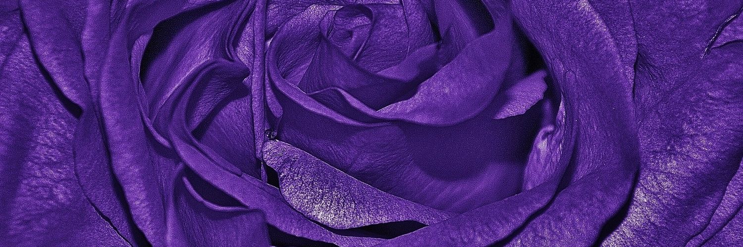 CeciPia47's profile banner image