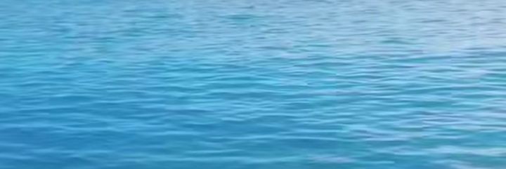 claraynes's profile banner image
