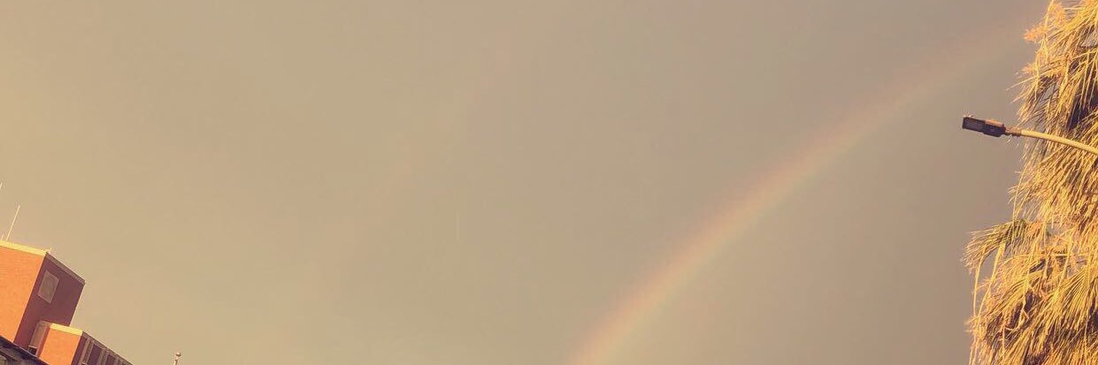 Omar_Alaa01's profile banner image