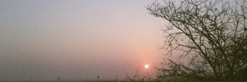 alcorozo's profile banner image