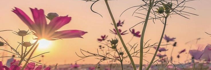 nommeke1983's profile banner image
