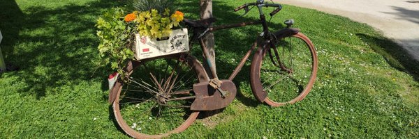 Bapt54 Profile Banner