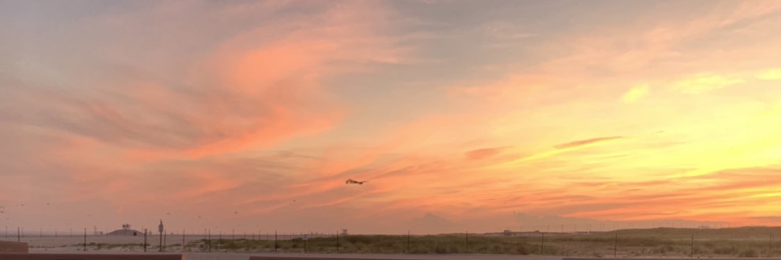 GiingerSpicee's profile banner image