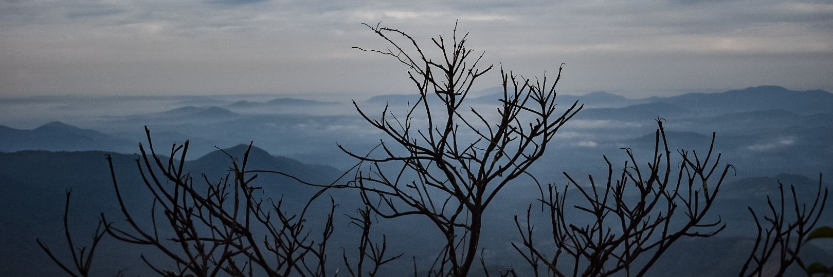 TheRichaSoni's profile banner image