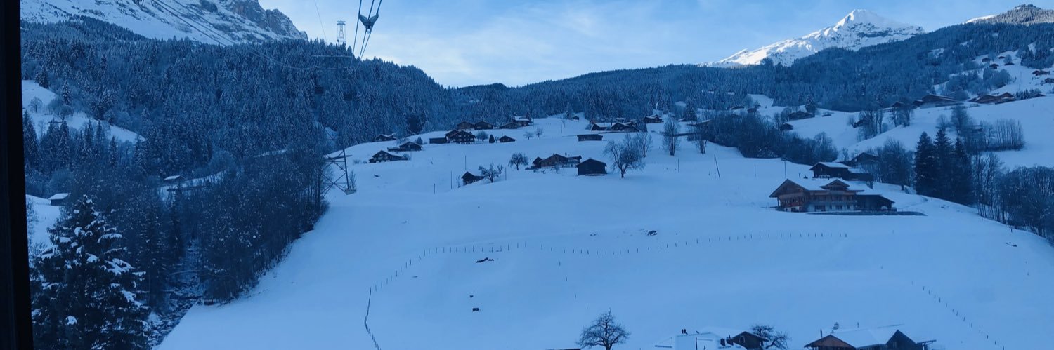 nzvik's profile banner image