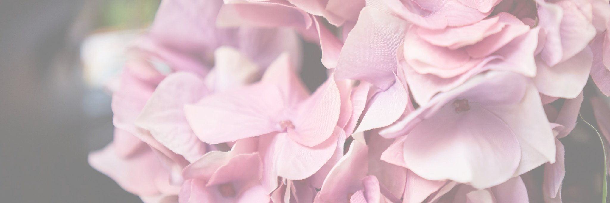 AJISAIRP's profile banner image