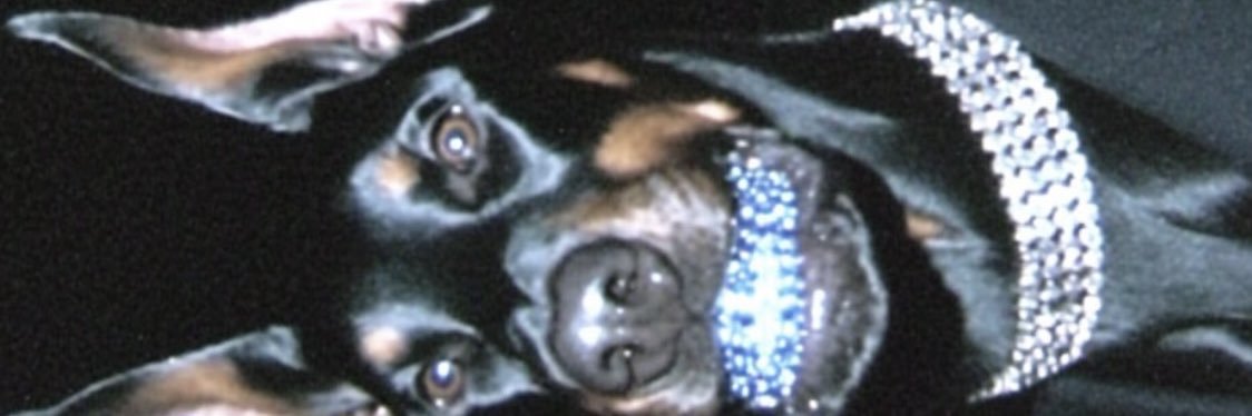 DerickSivad's profile banner image