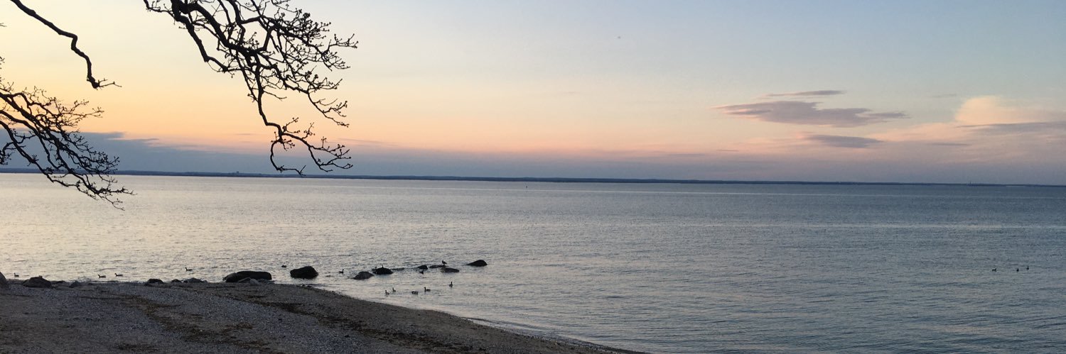 LateForRealitea's profile banner image