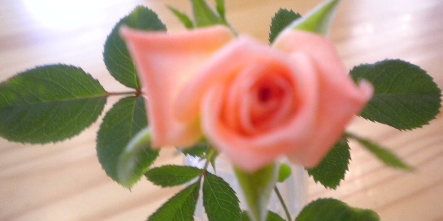 deedee48009's profile banner image