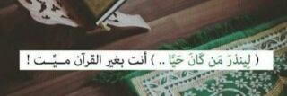 Qurank4Soul's profile banner image