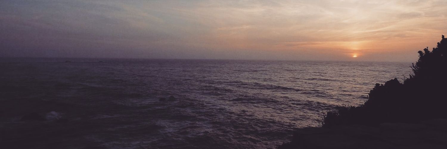 FoodObsessed2's profile banner image