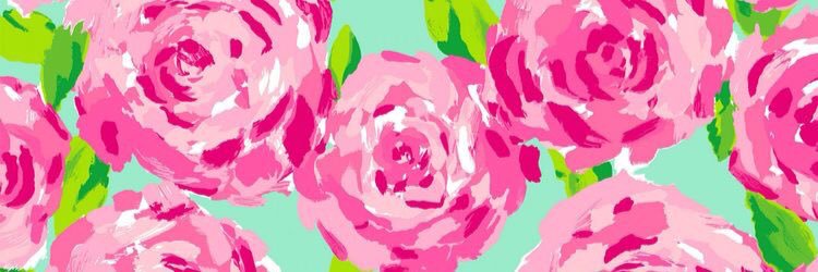 elise_sull's profile banner image