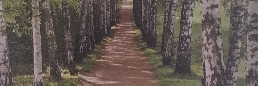 Phil_Habowski's profile banner image