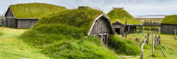 Runar Tvålfager banner