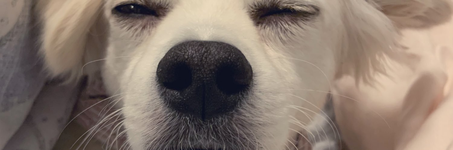 caitfryer's profile banner image
