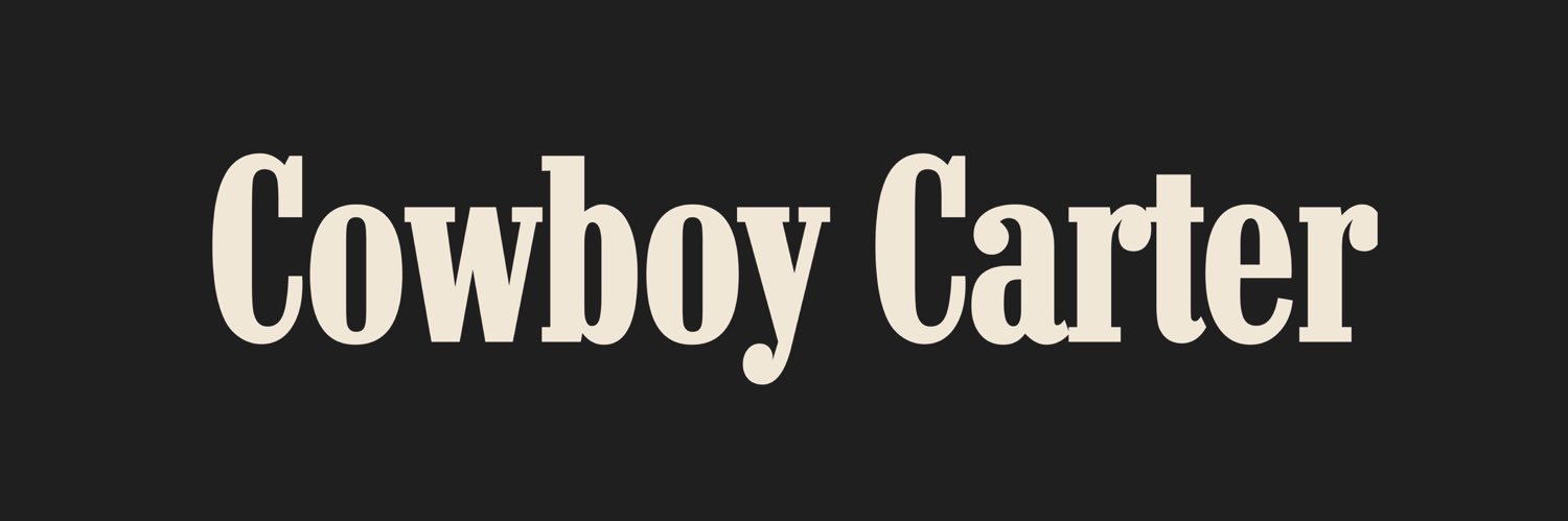 BEYONCÉ FANS banner