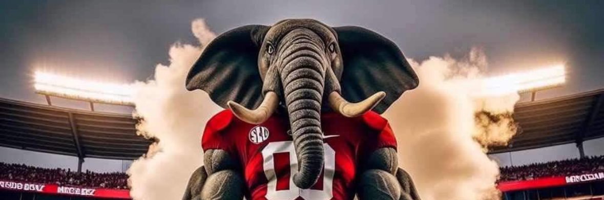 markdabarber05's profile banner image