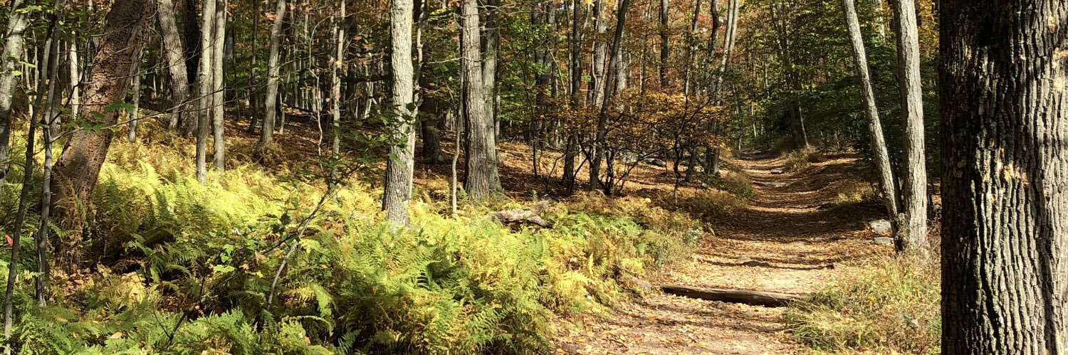 Alice Hunt Friend banner