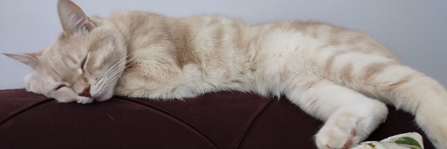oskaraca's profile banner image
