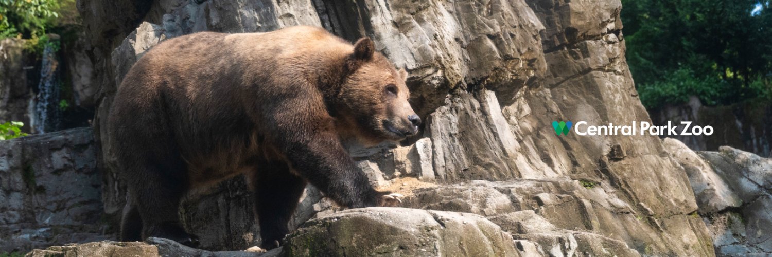 Central Park Zoo's banner