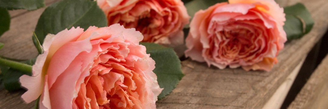 FlowerbookApp's profile banner image